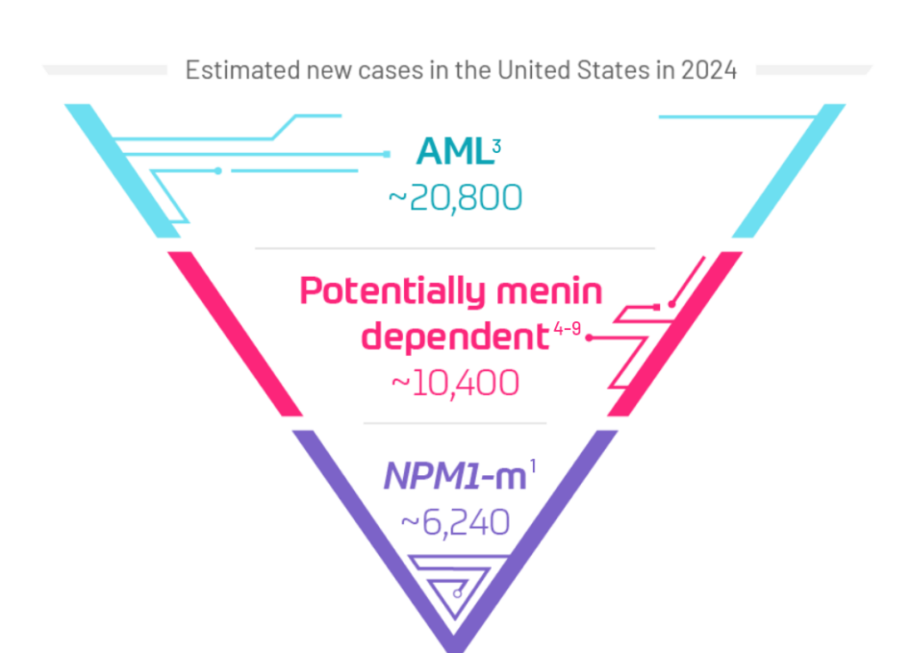 image of an inverted pyramid showing NPM1-m is the most common menin-dependent AML